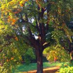 42194334 300093213911101 7718817260462145536 n